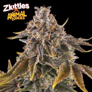 zkittles x animal cookies quarter