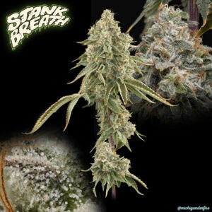 Stank Breath portrait